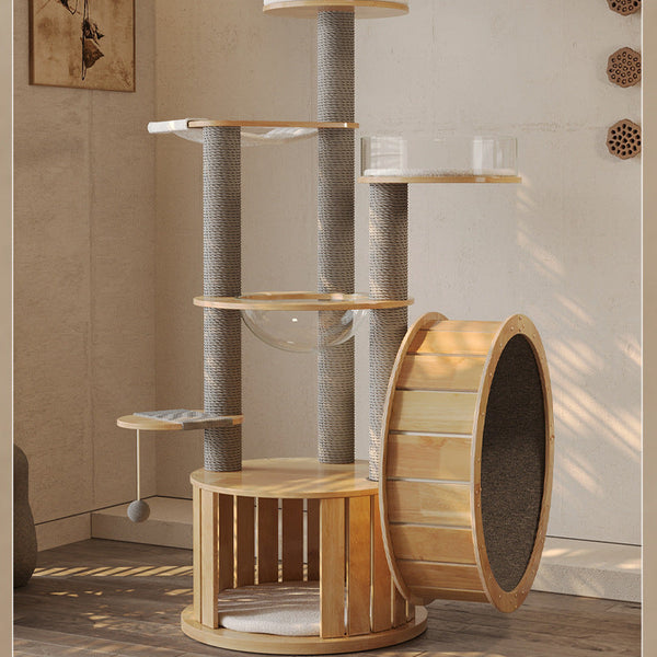 Cat Exercise Wheels